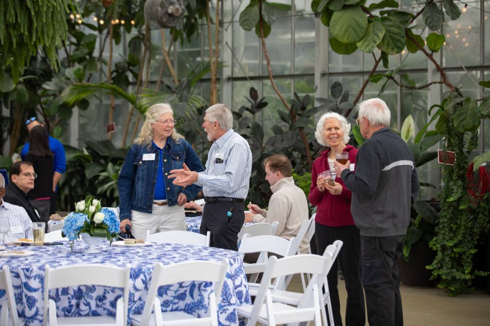 Two groups of two colleagues standing by each other, chatting